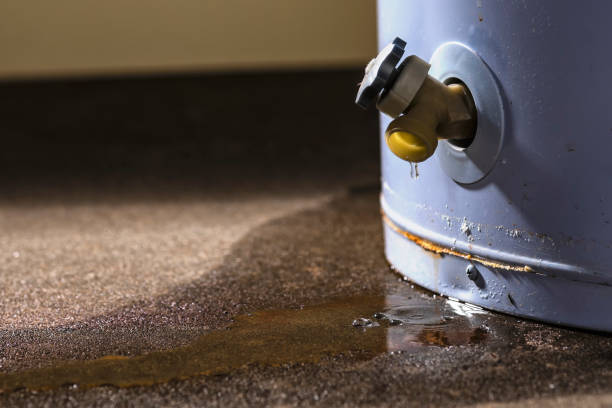 Best Carpet water damage restoration  in Roselawn, IN