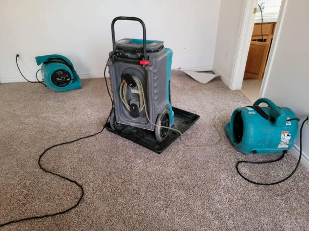 Best Basement water damage restoration  in Roselawn, IN