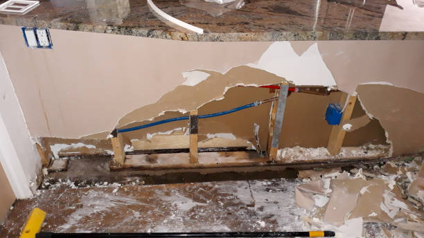 Best Water damage cleanup near me  in Roselawn, IN