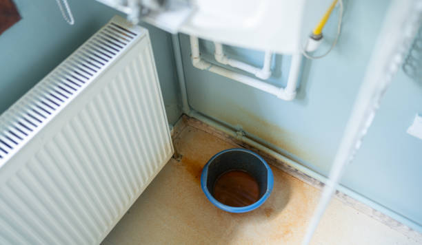 Best Commercial water damage restoration  in Roselawn, IN