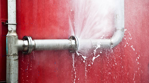  Roselawn, IN Water damage restoration Pros